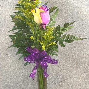 tie-dyed roses in vase | spring creek designs | Gillette Wyoming